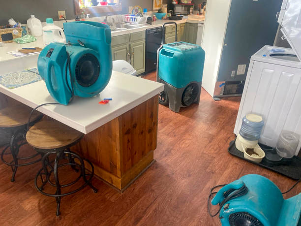 Best Mold removal after water damage  in Mattydale, NY