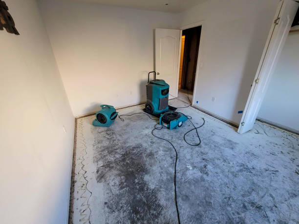 Best Ceiling water damage repair  in Mattydale, NY
